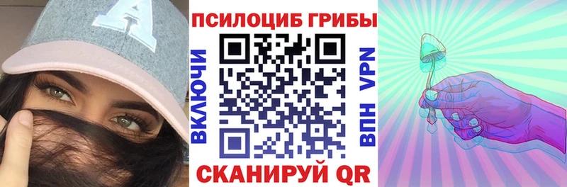 купить закладку  Мелеуз  Псилоцибиновые грибы Magic Shrooms 